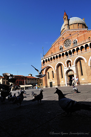 D300_47584.jpg