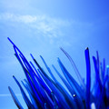 D300_44833.jpg