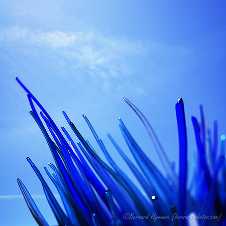 D300_44833.jpg