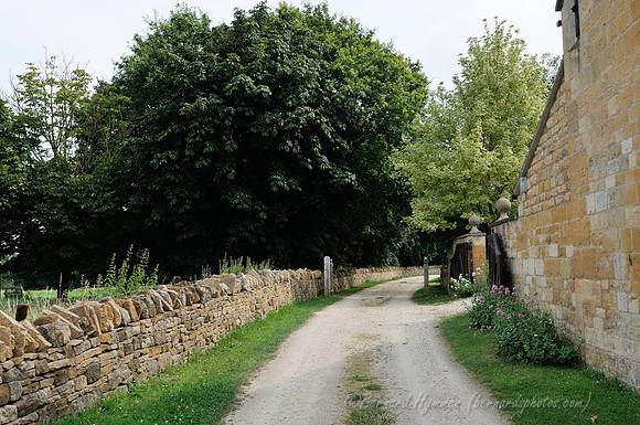 D300_99153