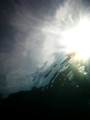 SD800_58089
