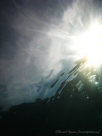 SD800_58089