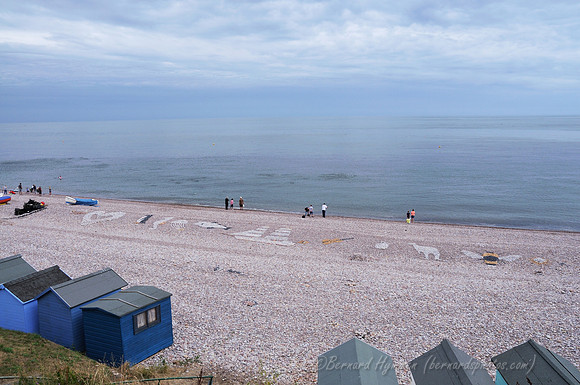 D300_100320