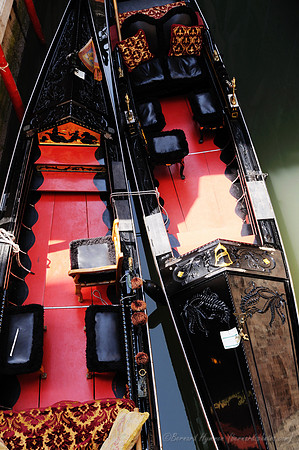 D300_44507.jpg