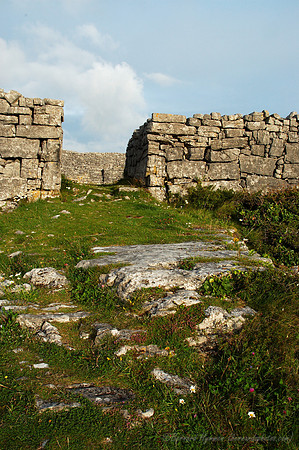 D70_064182004-08-26_01