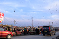 D300_68987