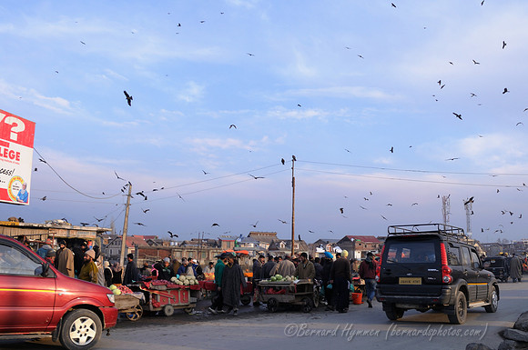 D300_68987