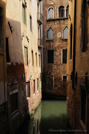 D300_44510.jpg