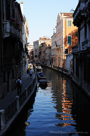 D300_45785.jpg