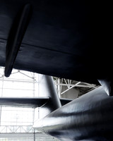 Evergreen Aviation & Space Museum