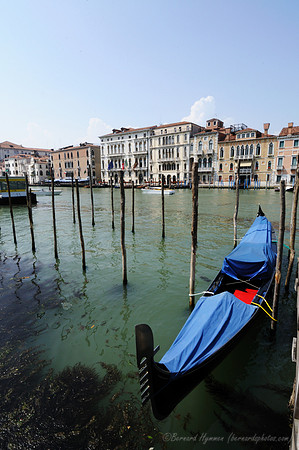 D300_45193.jpg