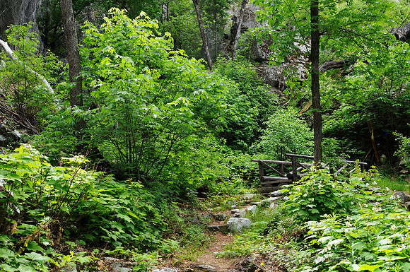 D300_72000