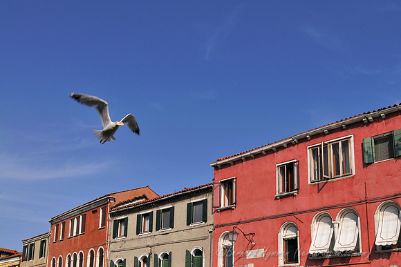 D300_44884.jpg