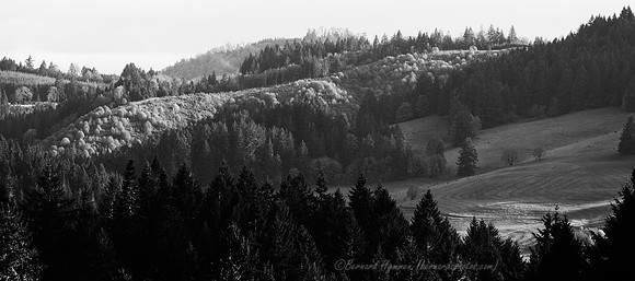 D300_63515