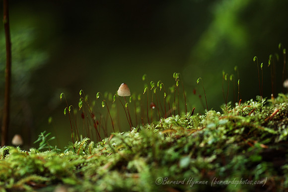 D70_12320