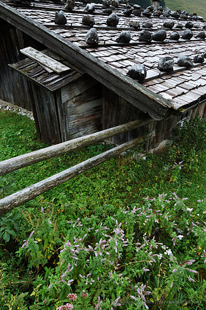 D70_18424