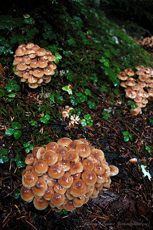 D70_076422004-10-09_01