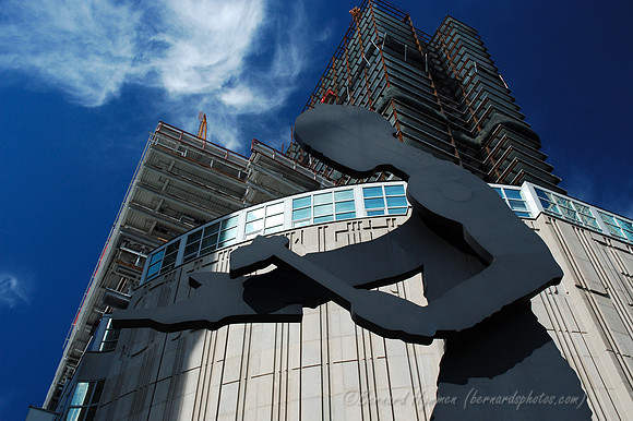D70_11732