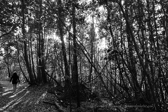 D300_32128