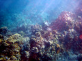 SD800_58588