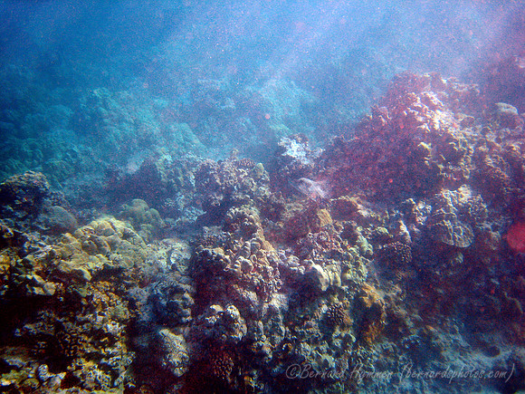 SD800_58588