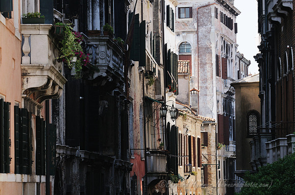 D300_44733.jpg