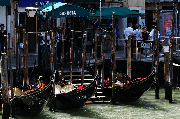 D300_45486.jpg