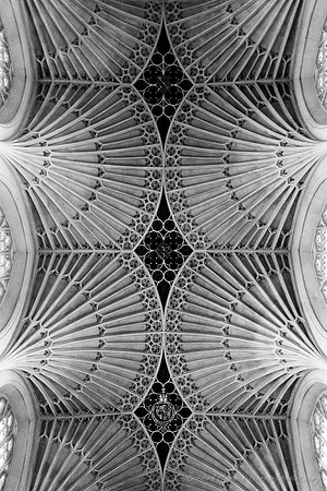 D300_100098