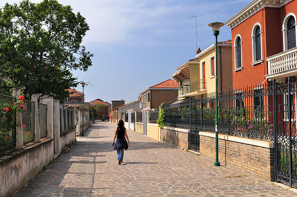 D300_44870.jpg