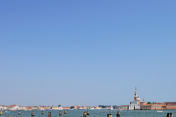 D300_45147.jpg