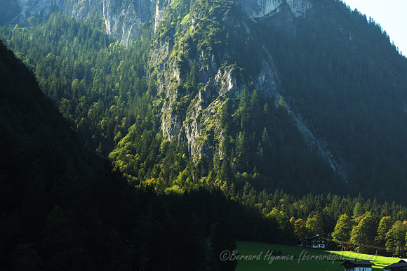 D70_18264