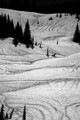 D300_88400