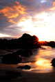 D300_58788