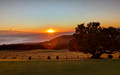 IMG_20221110_004840_654