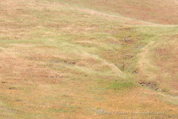 D300_32063