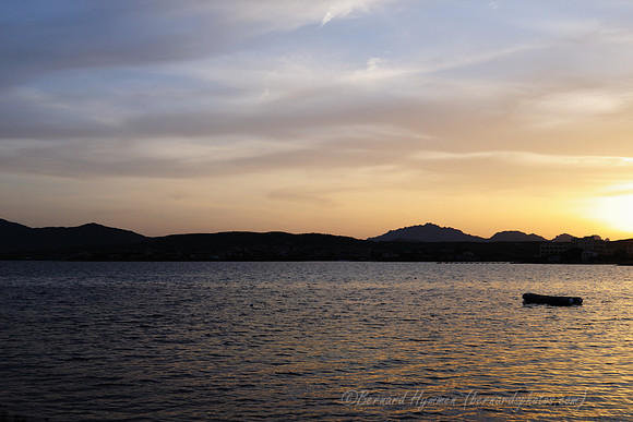 D300_45972.jpg