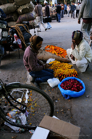 D300_68870
