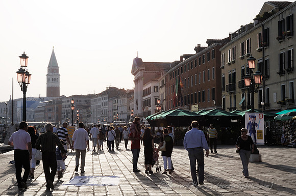 D300_44967.jpg