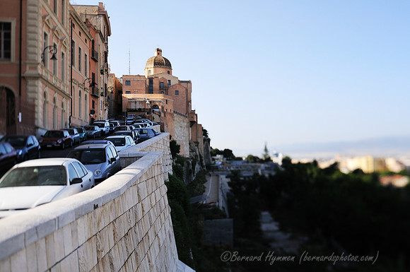 D300_47389.jpg