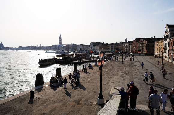 D300_44932.jpg
