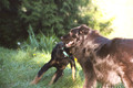 9QUV_029.JPG