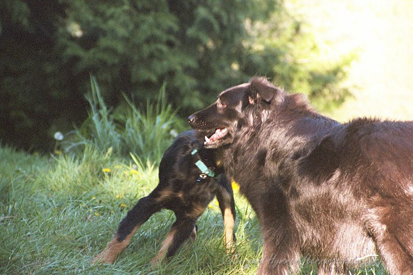 9QUV_029.JPG