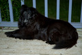 D70_2004-06-05-0030