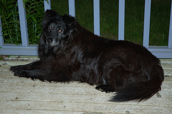 D70_2004-06-05-0030