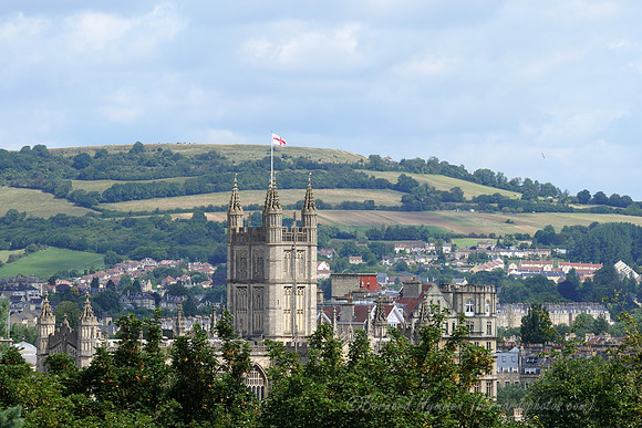D300_100031