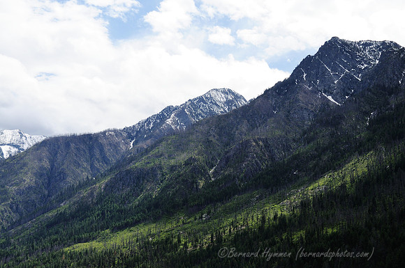 D300_72166
