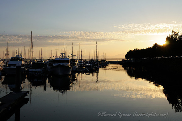 D300_72460