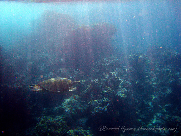 SD800_58718