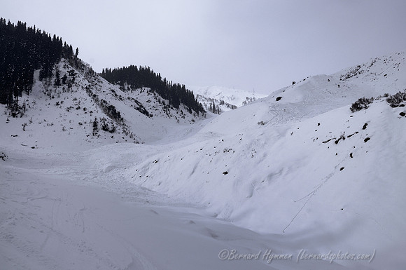 D300_69378