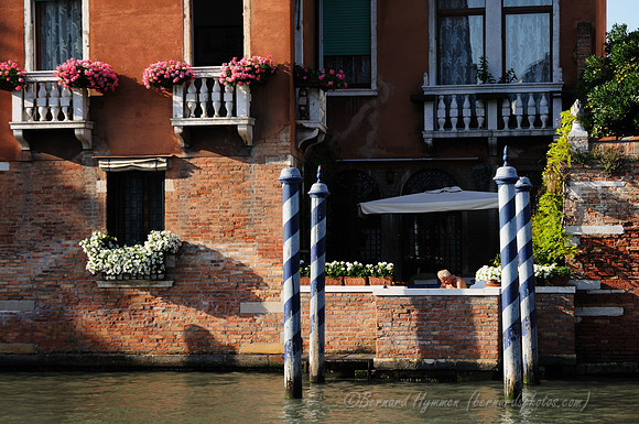 D300_45755.jpg